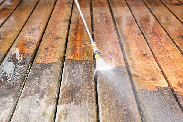Best Solar Panel Cleaning  in Smoke Rise, AL